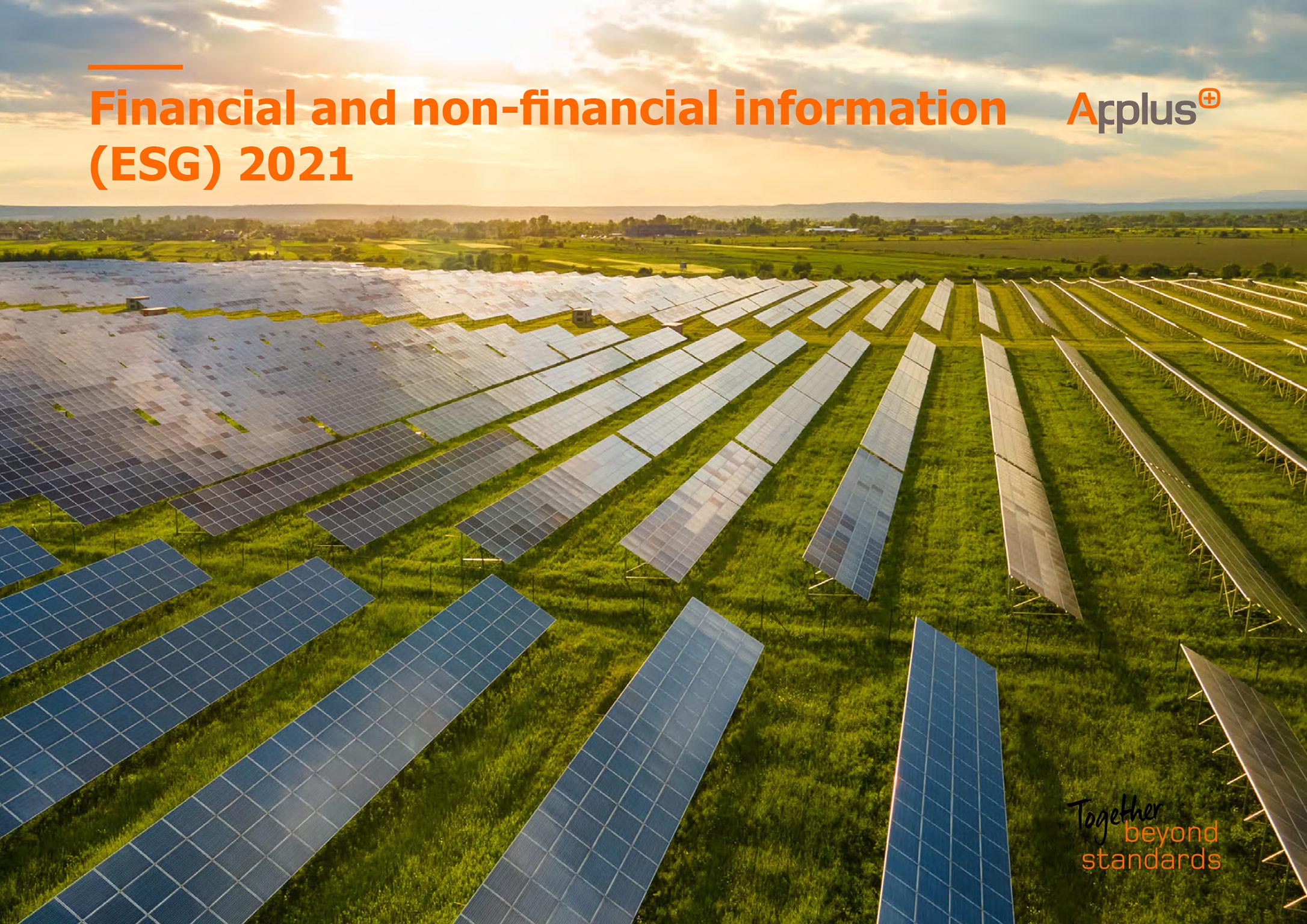 Financial and non Financial Information Report 2021